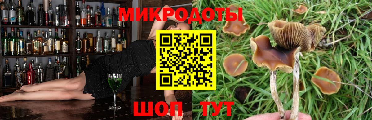 Псилоцибиновые грибы Magic Shrooms Ижевск